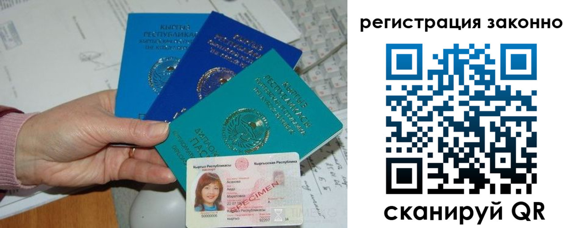 регистрация для школы в Курганской области